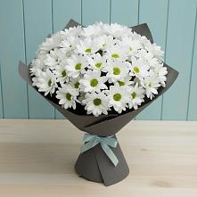Букет цветов из:  Хризантемы #REPLACE_PRED# Поречье Рузского района