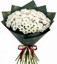Букет цветов из:  Хризантемы #REPLACE_PRED# Поречье Рузского района