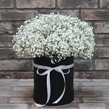 Цветочная композиция из Гипсофила в шляпной коробке в Поречье Рузского района