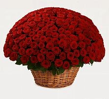 Премиум букет из: Розы в Поречье Рузского района